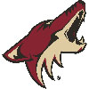 Phoenix Coyotes (Usa)