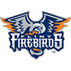 Flint Firebirds (Usa)