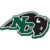 Nichols College Bisons (Usa)