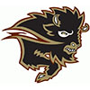 University of Manitoba Bisons (Can)